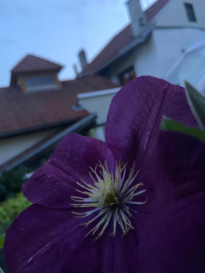 Gasthof Zum Mohrn Oberwoelz Stadt Exteriör bild